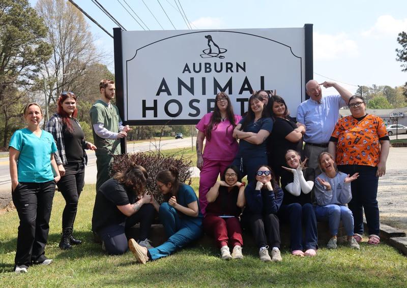 Carousel Slide 8: All the staff enjoying the sunshine.