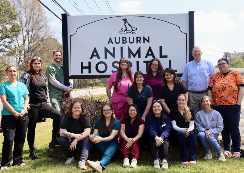 Carousel Slide 7: Our working heroes.